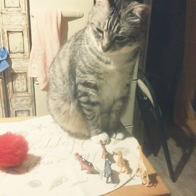 annさんの実例写真
