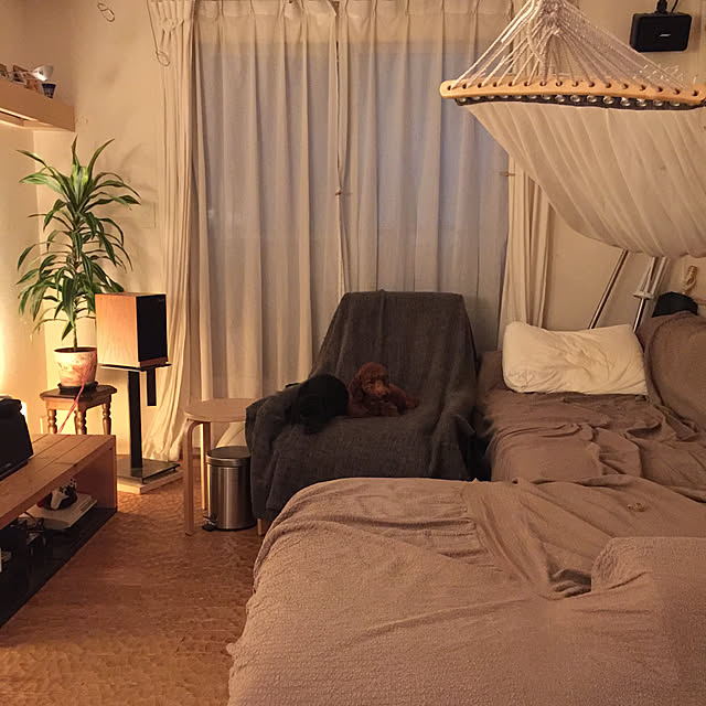 部屋全体のインテリア実例 - 2020-01-16 13:32:35