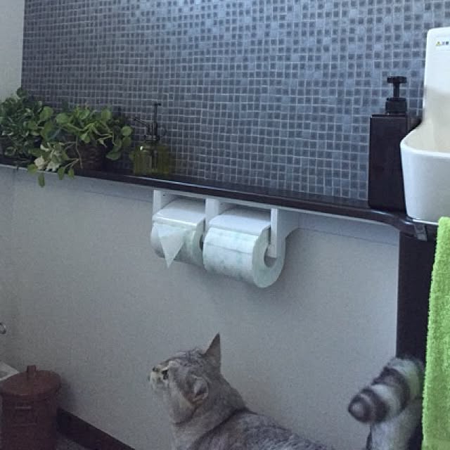 バス/トイレのインテリア実例 - 2015-09-19 14:06:09
