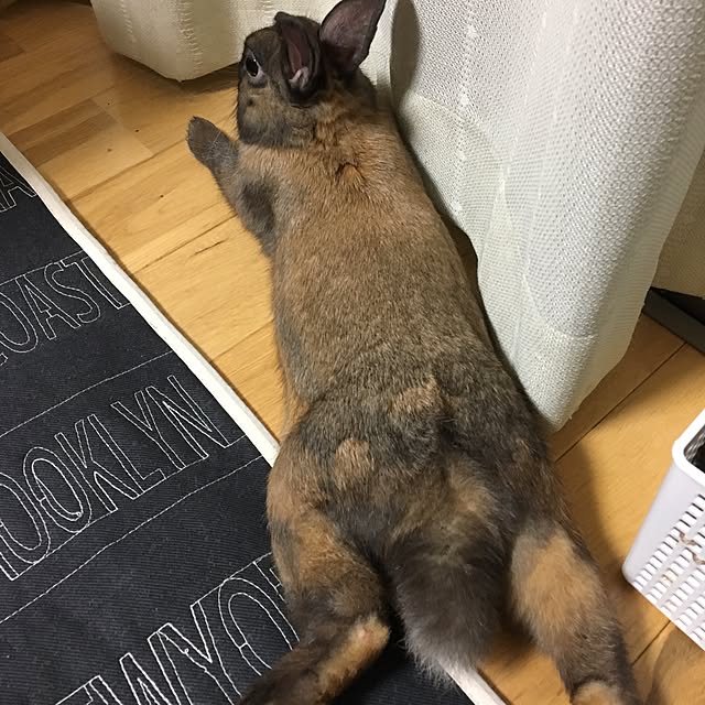tick-tackさんの実例写真