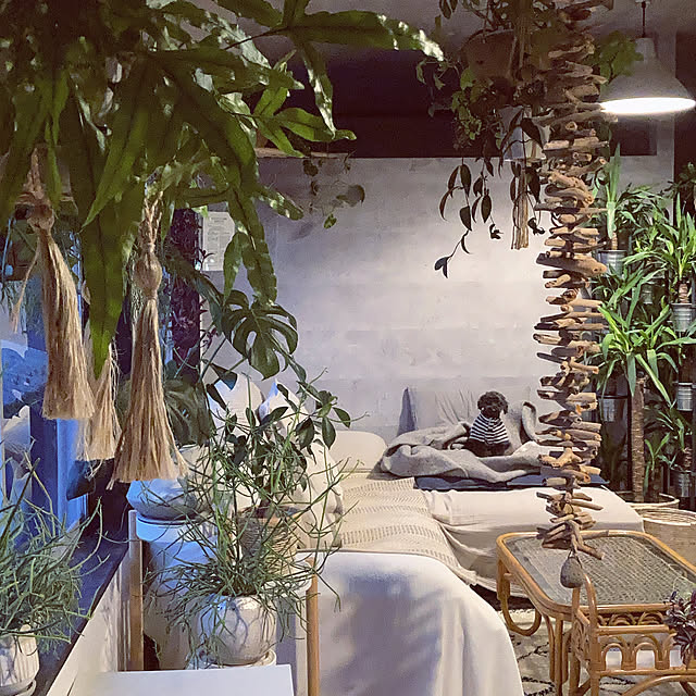 hira_muji_mihiさんの実例写真