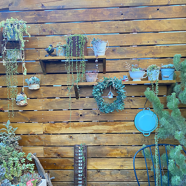 mintteaさんの部屋