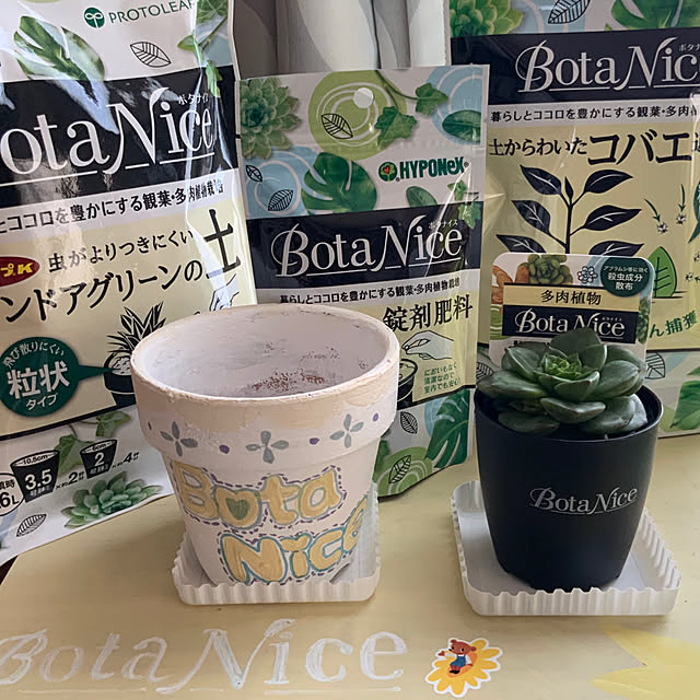 chiiyanさんの部屋