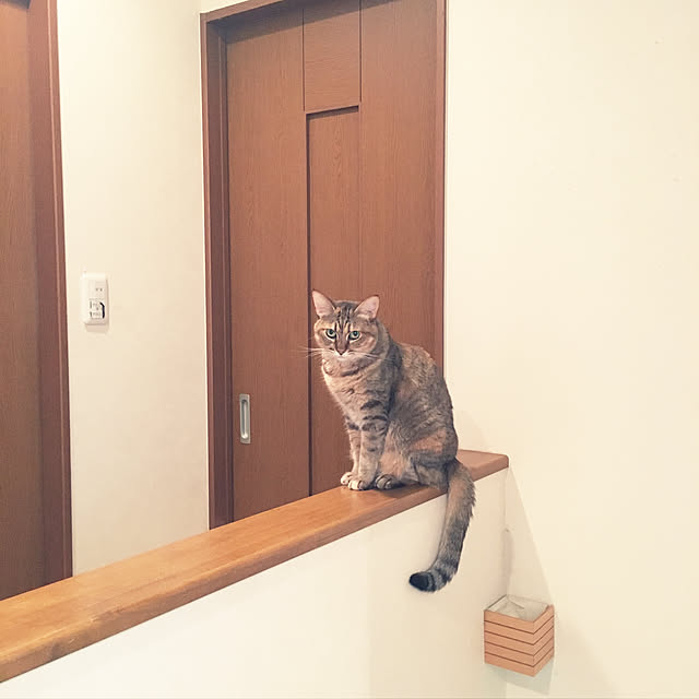 mizoo1124さんの実例写真
