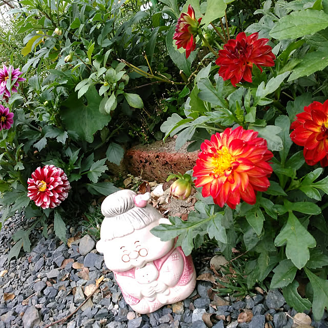 shoko0420さんの実例写真