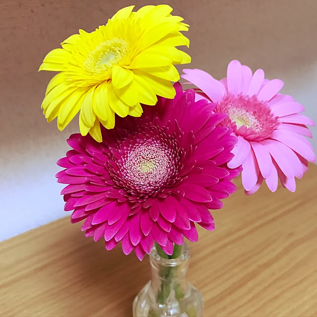 実例写真