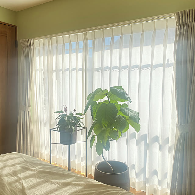 mipさんの部屋