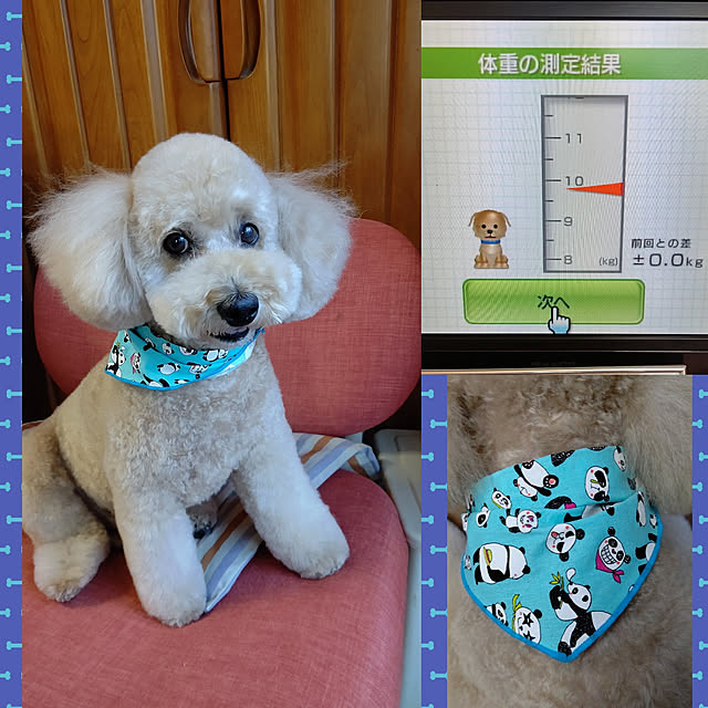 yumirinさんの実例写真