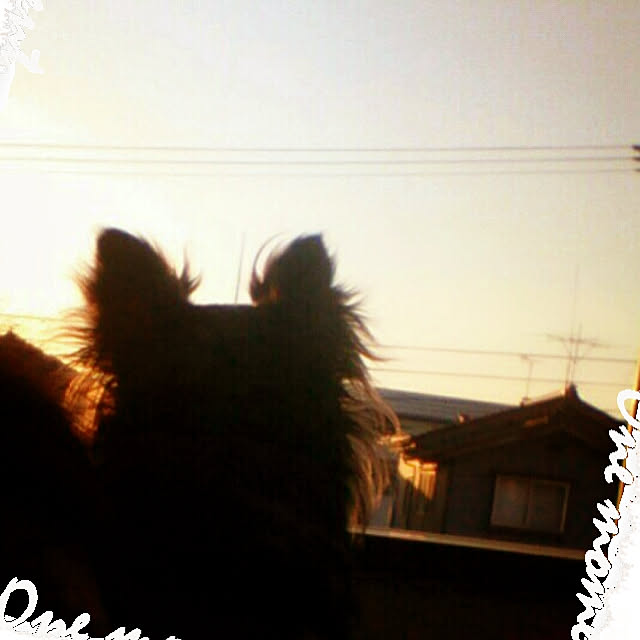 kanaさんの実例写真
