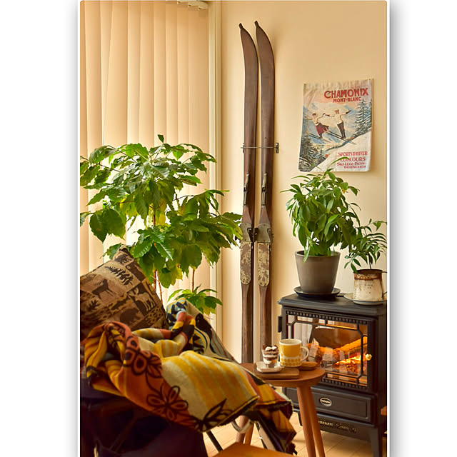 mikigumaさんの部屋