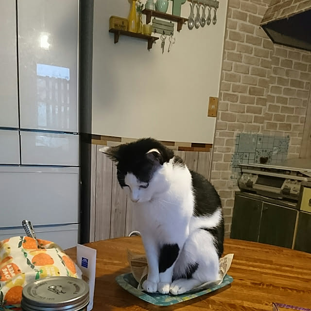 SHIHOさんの実例写真