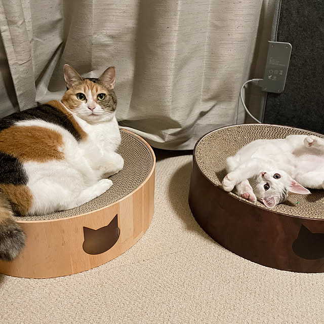 chix3さんの実例写真