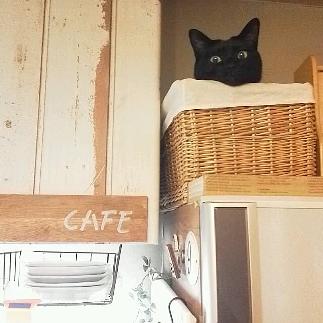 mikiさんの実例写真