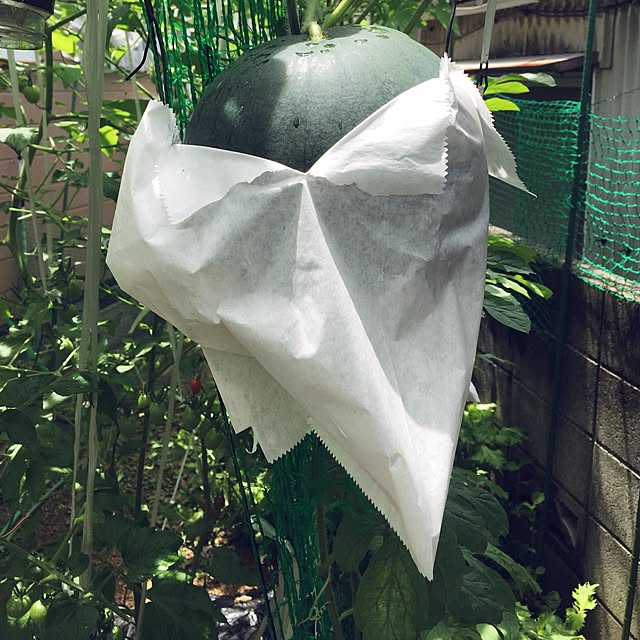 takakoさんの実例写真