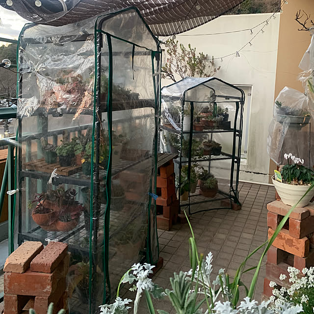 Aqettyさんの部屋