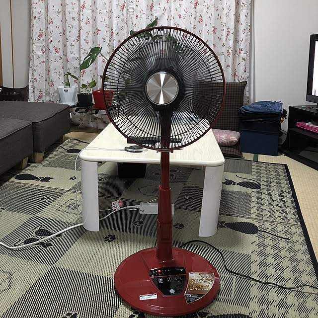 kuumicoさんの実例写真