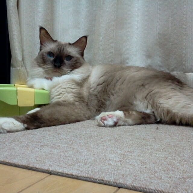 before.afterさんの実例写真