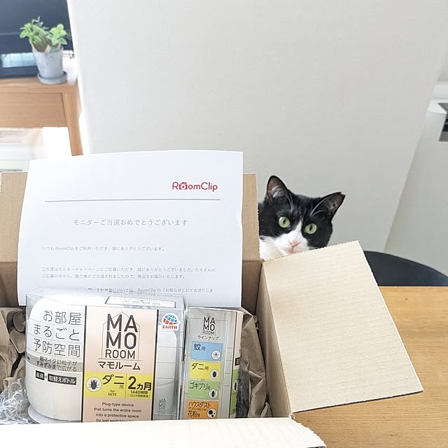 hihaさんの部屋