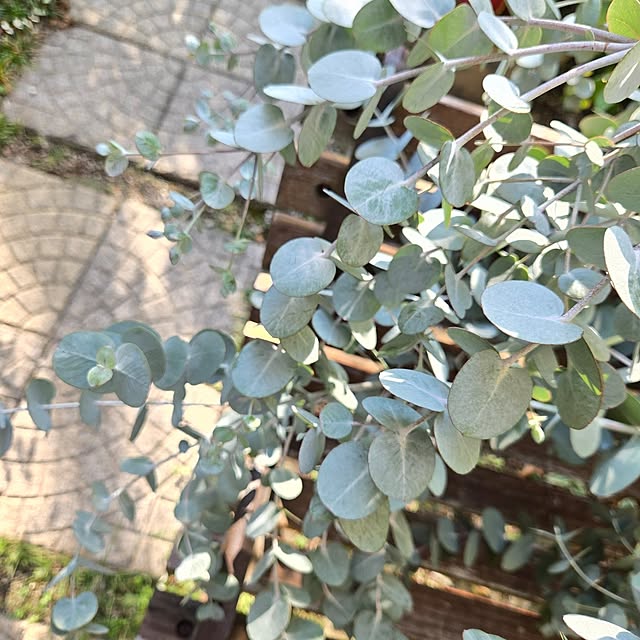 min_nimさんの部屋