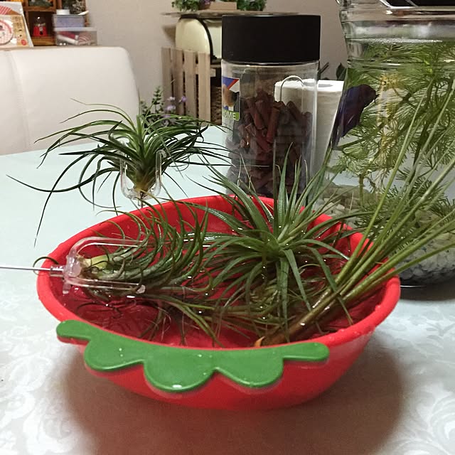 emiさんの実例写真