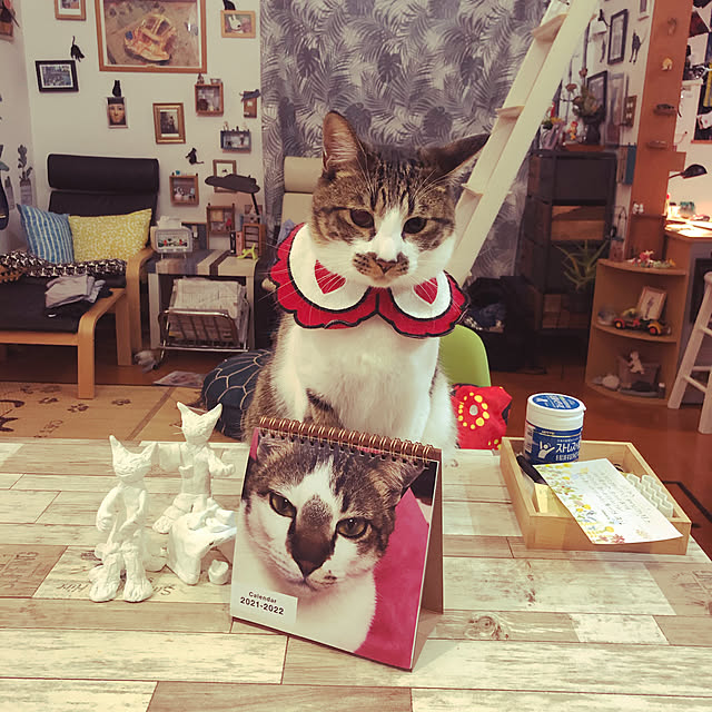jijiさんの実例写真