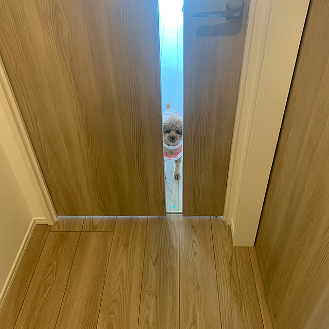 rinsukeさんの実例写真
