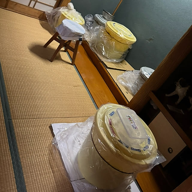 mamizaさんの部屋