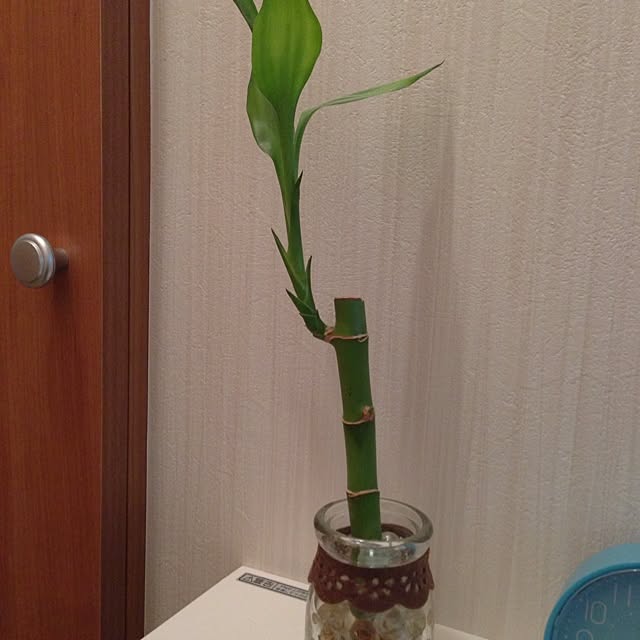 minidagさんの実例写真