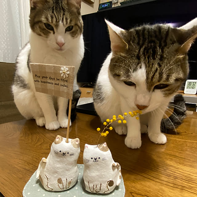 Lufuさんの部屋