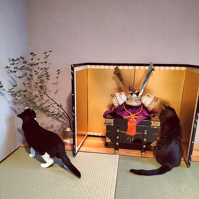 hihaさんの実例写真