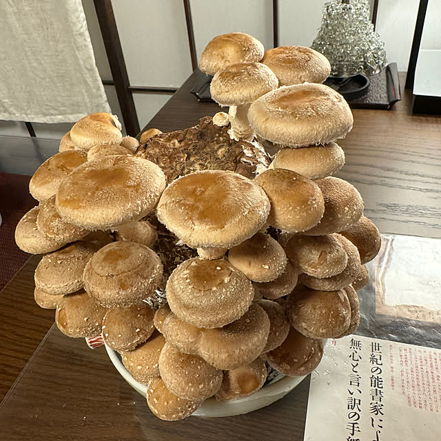mamizaさんの実例写真