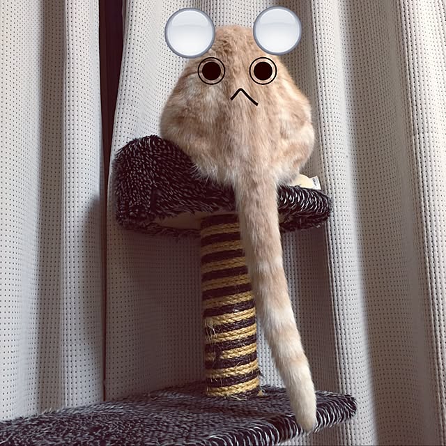 hiyupan88さんの実例写真
