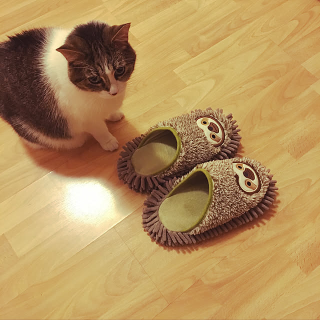 Keiさんの実例写真