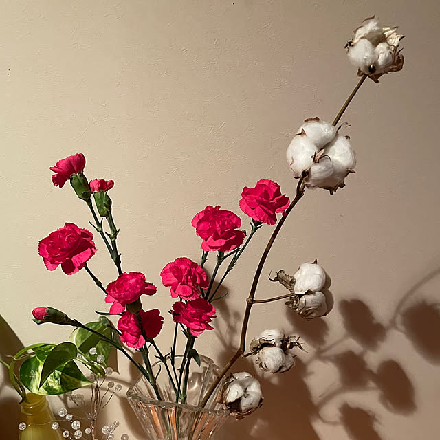 kakoさんの実例写真