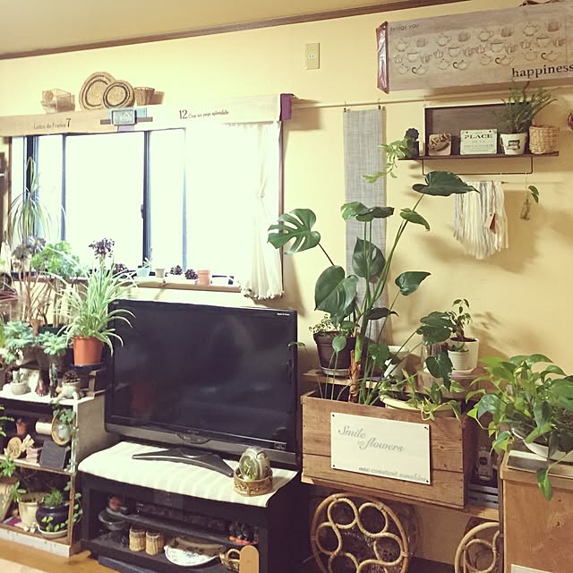 Norikoさんの実例写真