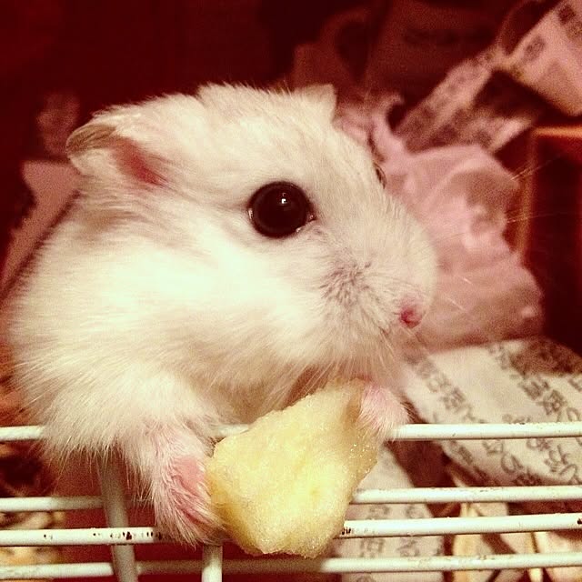 jam25さんの実例写真