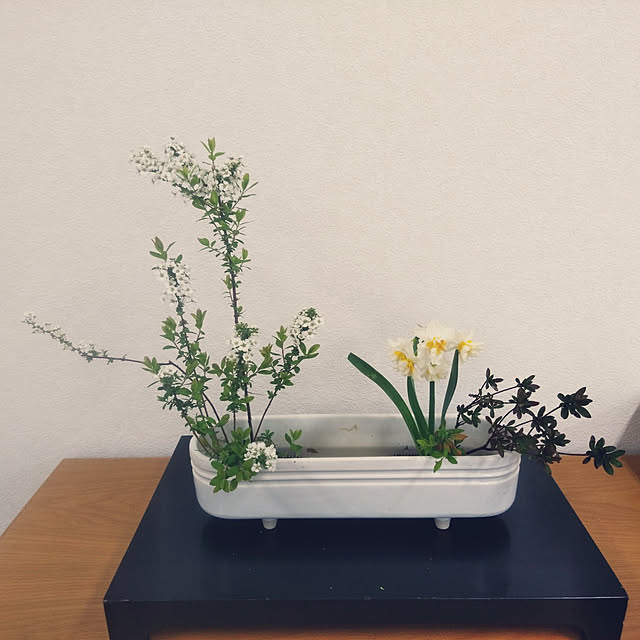 Green-appleさんの実例写真