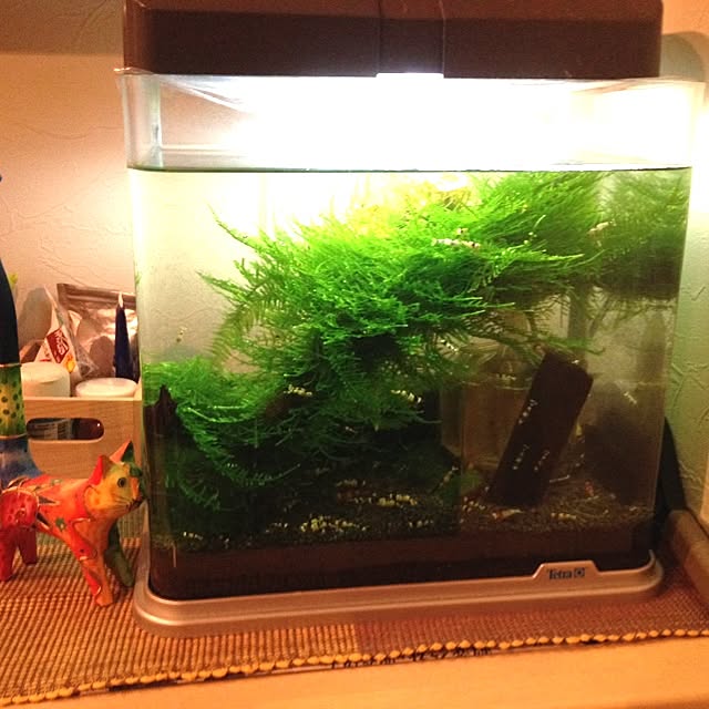 marooさんの実例写真