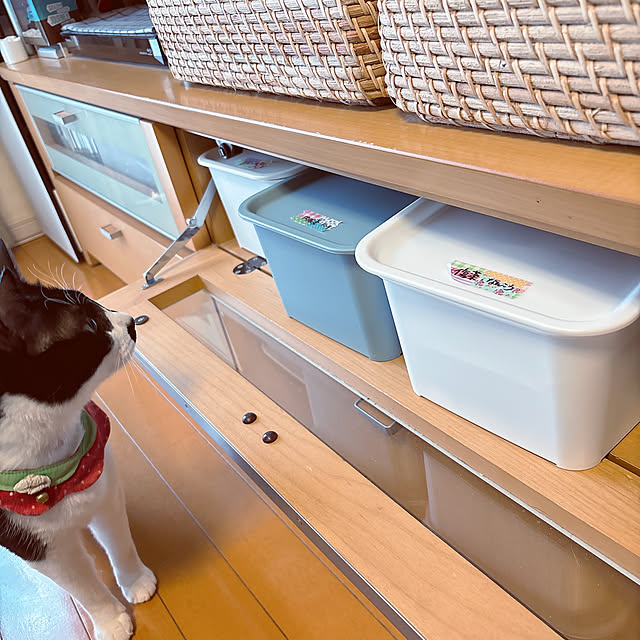 moolさんの部屋