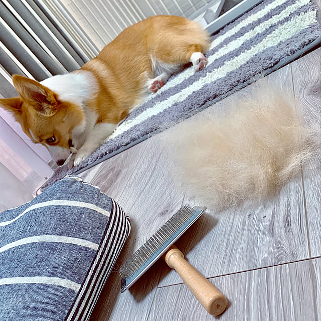 3ayuさんの実例写真