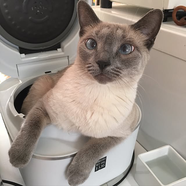 niko-25さんの実例写真