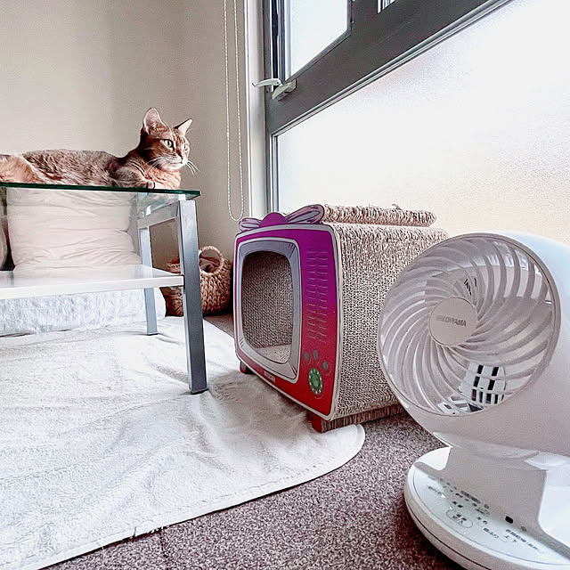 myuさんの実例写真