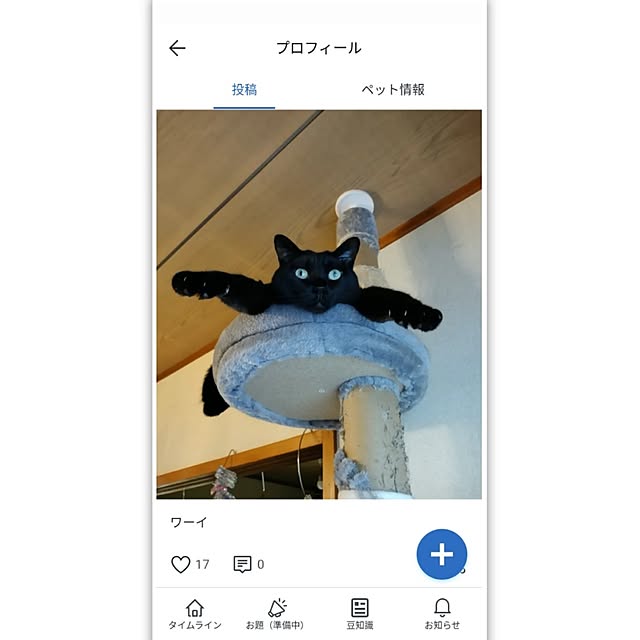 Tさんの実例写真