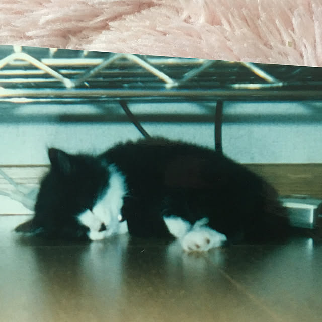 kanaさんの実例写真