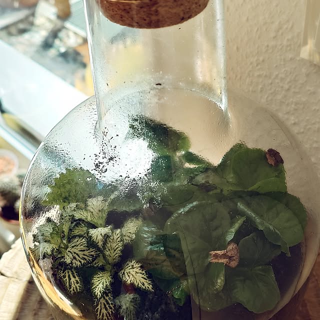 Violetさんの部屋