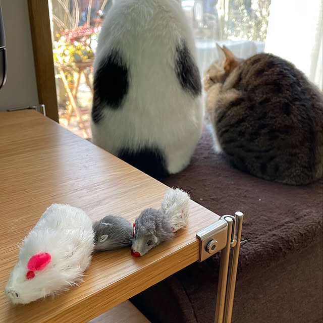 nobikoさんの実例写真