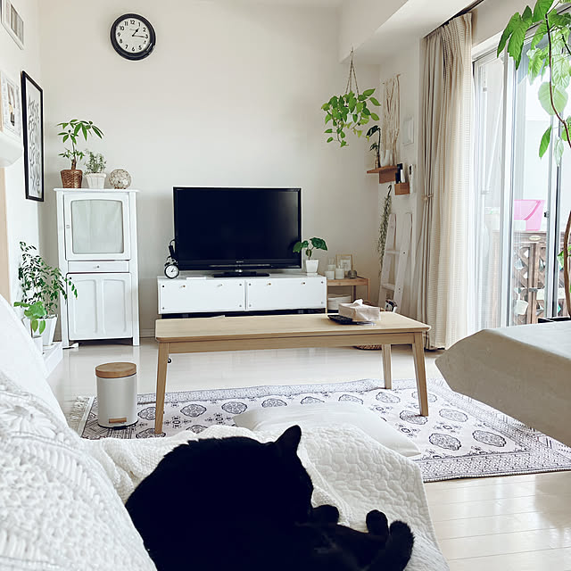 nekomiさんの部屋