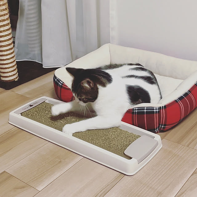 hemukoさんの実例写真