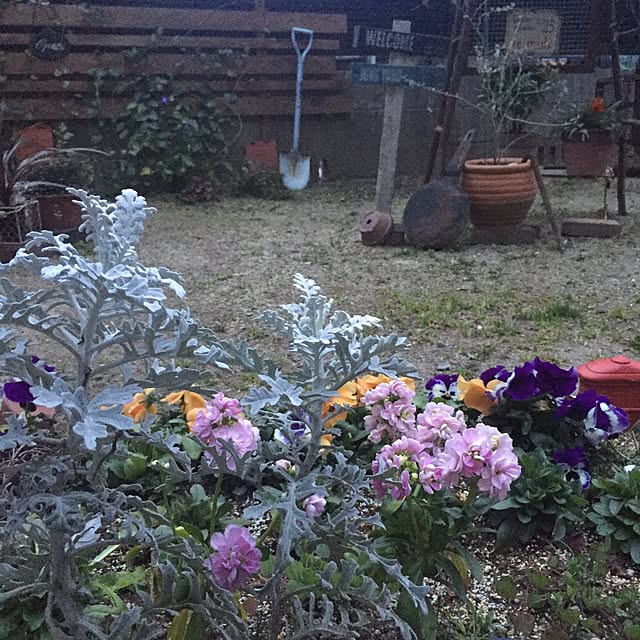 bibianさんの実例写真