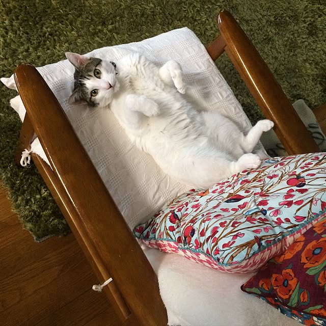 himenekoさんの実例写真